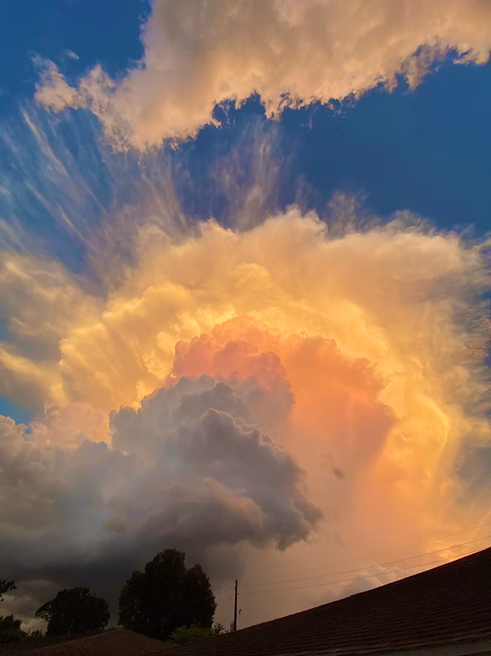 what exactly does manifestation mean?